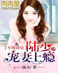 军婚撩人娇妻宠上瘾
