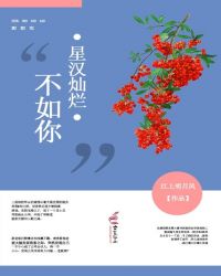 星汉灿烂番外