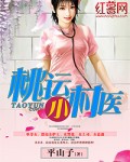 桃运小村夫全集