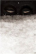 见雪深剧透结局