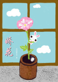 娇花难养豆浆